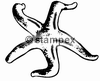 diving stamps motif 1101 - Biology