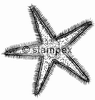 diving stamps motif 1102 - Biology