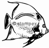 diving stamps motif 3041 - Fish