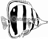 diving stamps motif 3049 - Fish
