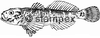 diving stamps motif 3704 - Fish