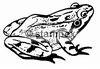diving stamps motif 7203 - Frog