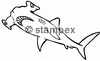 Le tampon encreur motif 3426 - Requin