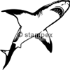 diving stamps motif 3446 - Shark