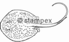 diving stamps motif 3610 - Ray/Skate