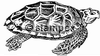 diving stamps motif 7558 - Turtle