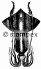 diving stamps motif 1010 - Biology