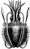 diving stamps motif 1011 - Biology