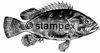 diving stamps motif 3003 - Fish