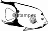 diving stamps motif 3013 - Fish