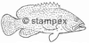 diving stamps motif 3019 - Fish