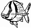 diving stamps motif 3030 - Fish