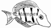 diving stamps motif 3034 - Fish