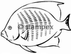 diving stamps motif 3044 - Fish