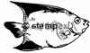 diving stamps motif 3046 - Fish