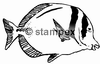 diving stamps motif 3053 - Fish