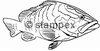 diving stamps motif 3060 - Fish