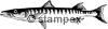 diving stamps motif 3074 - Fish