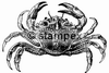 Le tampon encreur motif 7314 - Ecrevisse, Crabe, Homard