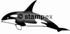 diving stamps motif 3851 - Orca