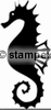 diving stamps motif 7611 - Seahorse