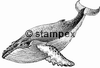 Le tampon encreur motif 3807 - Baleine